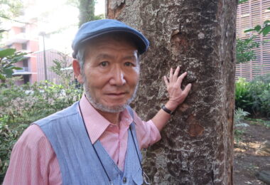 【座学】樹木の学校88 神宮外苑再開発報告その２ご案内