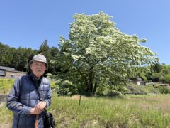 平地林の環境保全機能と保育管理
